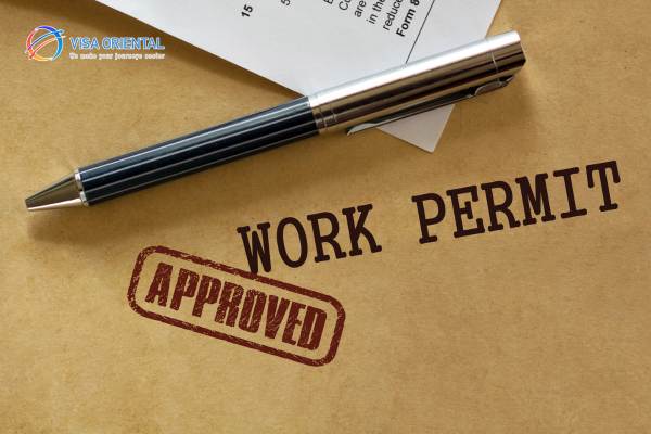 The pThe process of applying for a work permitrocess of applying for a work permit